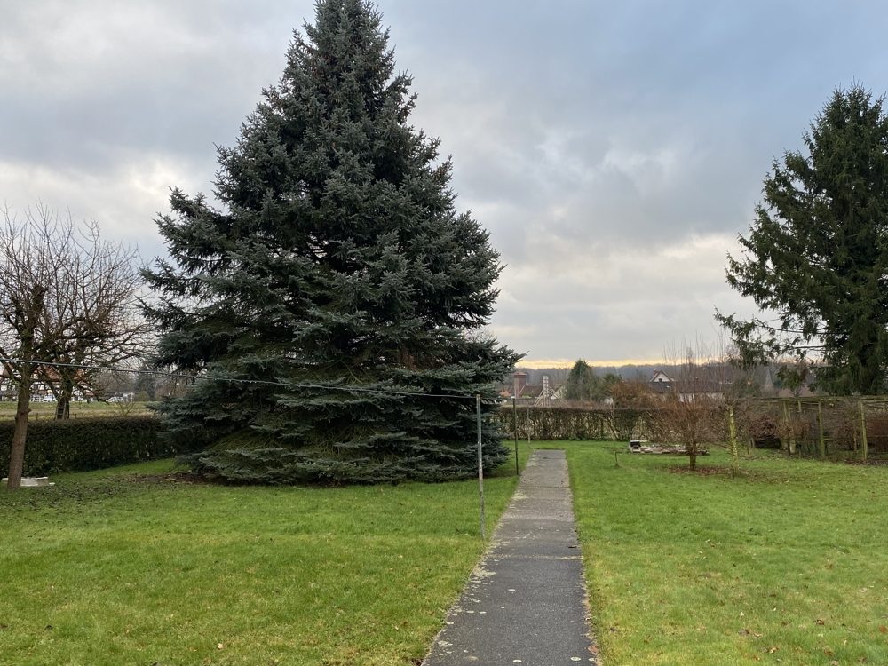Immobilienangebot - Werl - Grundstücke - Baugrundstück zur Einzel- und Doppelhausbebauung