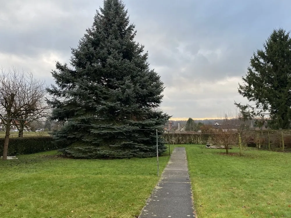 Immobilienangebot - Werl - Grundstücke - Baugrundstück zur Einzel- und Doppelhausbebauung